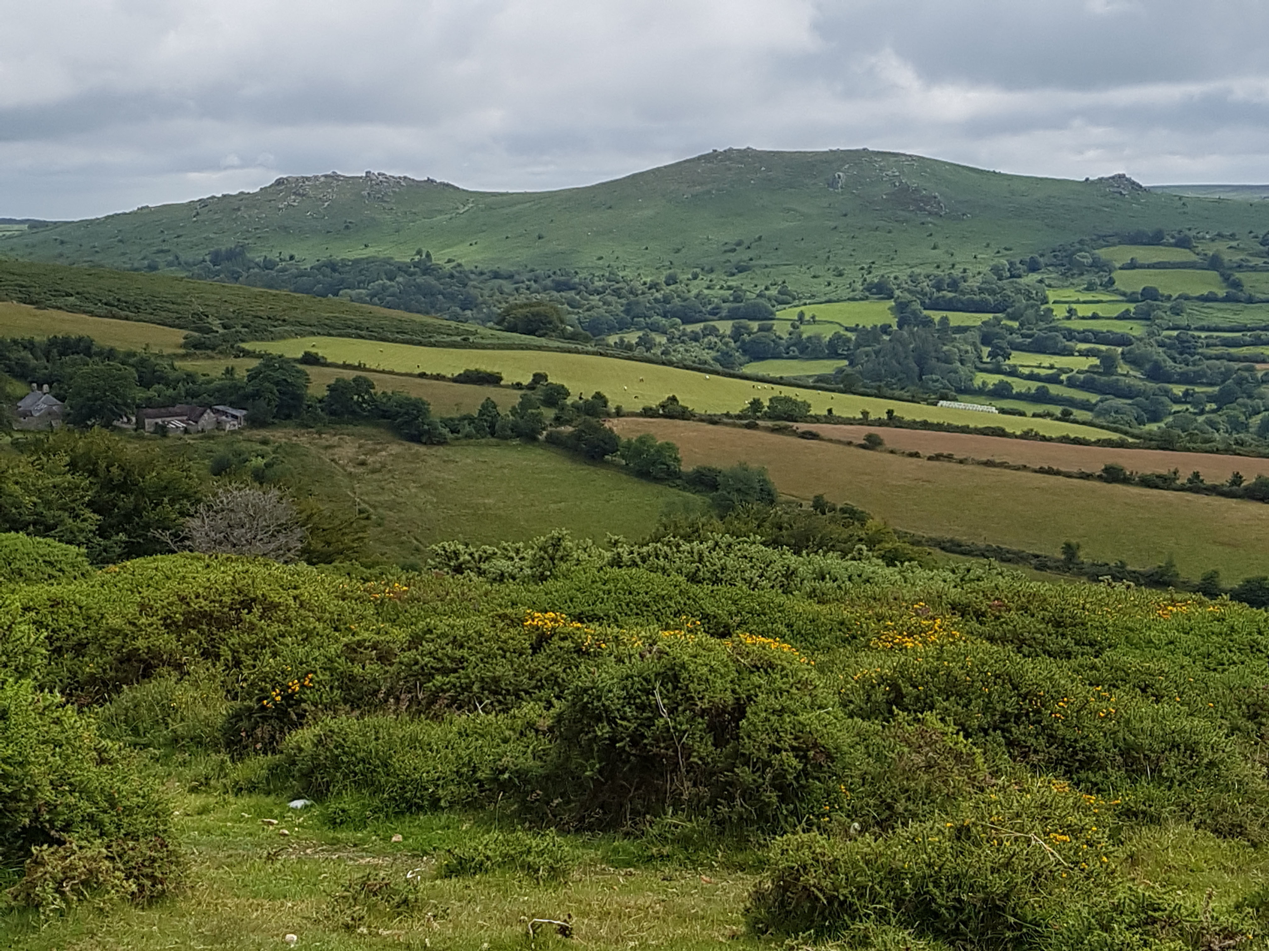 Dartmoor view of hills with rocky outcrops