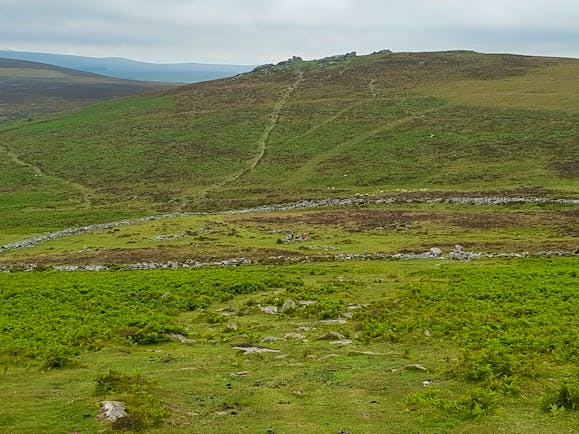 Dartmoor prehistoric settlement of Grimspound with tor behind