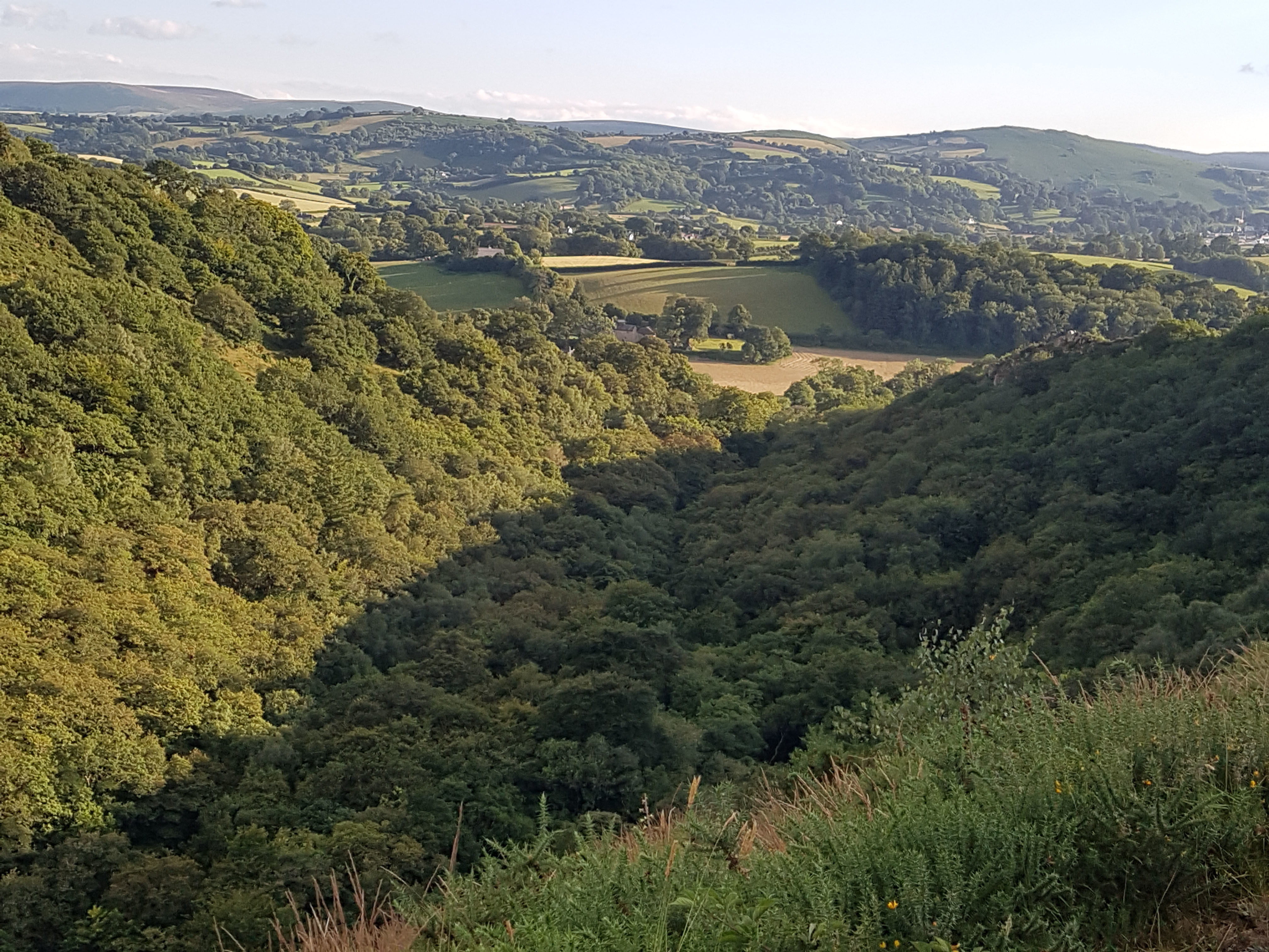 Dartmoor deep wooded river valley