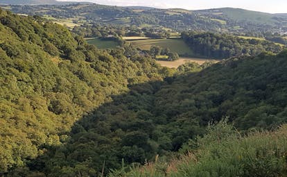 Dartmoor deep wooded river valley