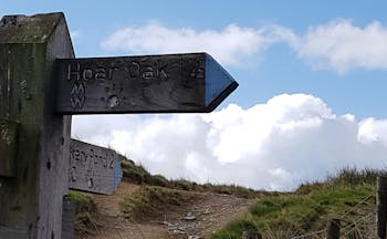 Four wooden signposts for walks