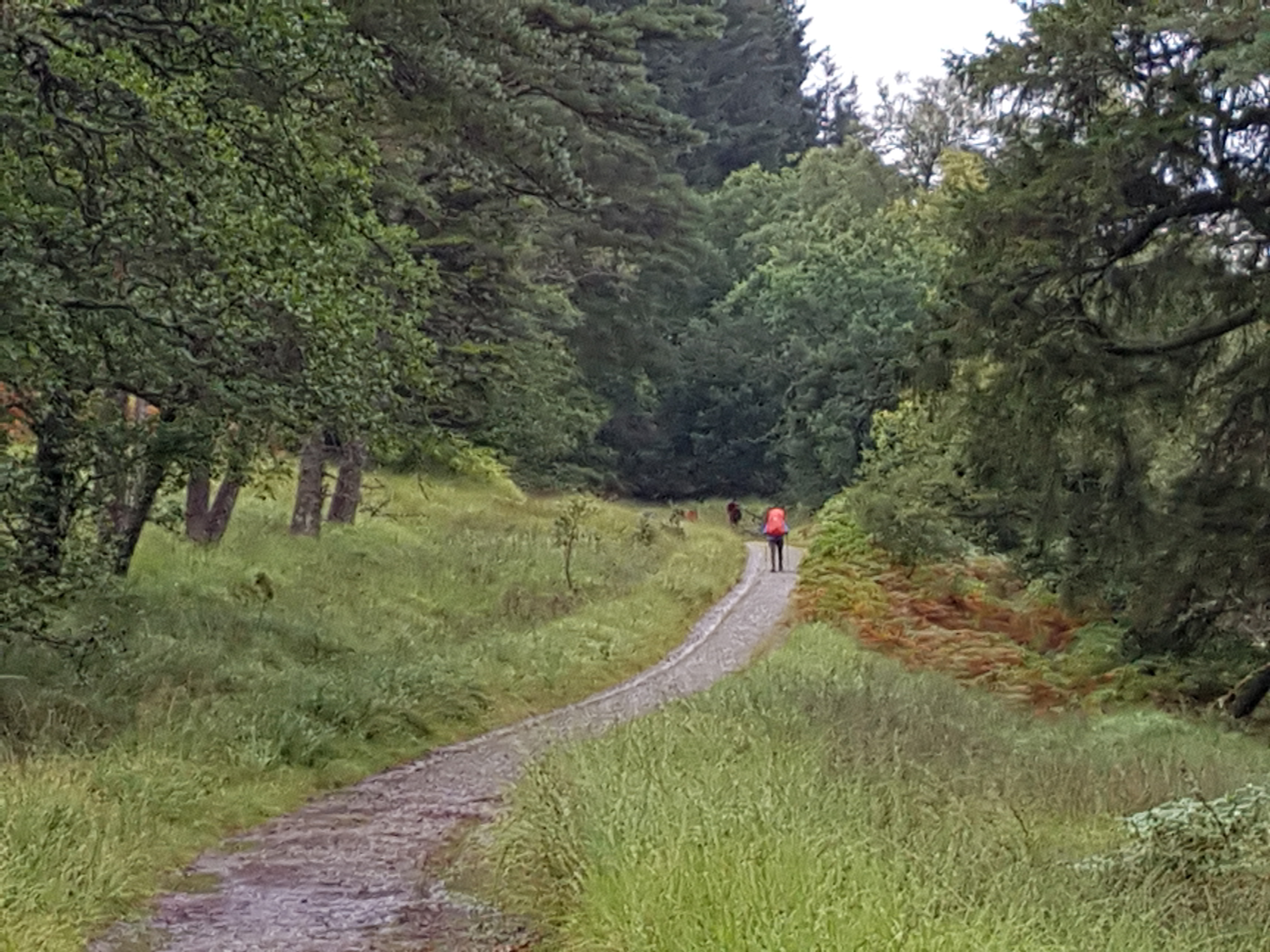 West highland way walker in red top on track