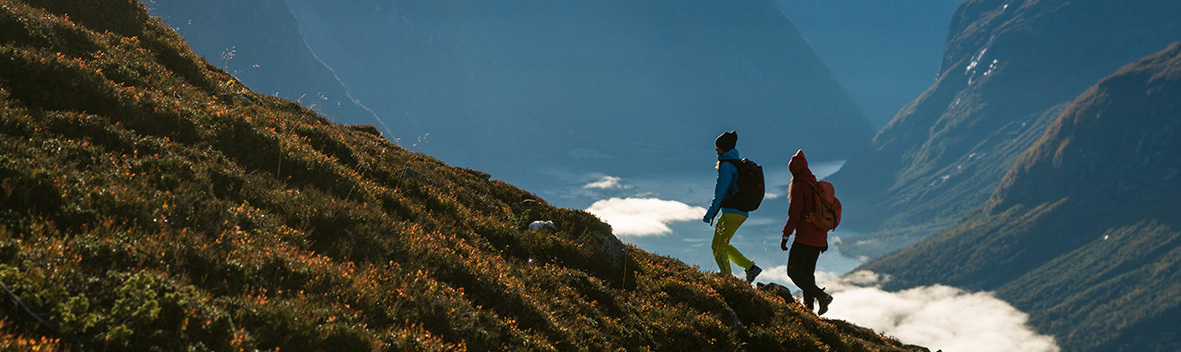 Norway fjord and mountain scenery