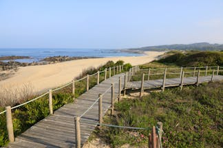 Wooden walkway over sand dunes