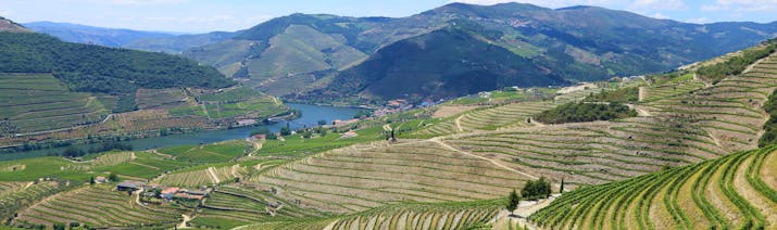 View of vineyards on steep hillside above blue river