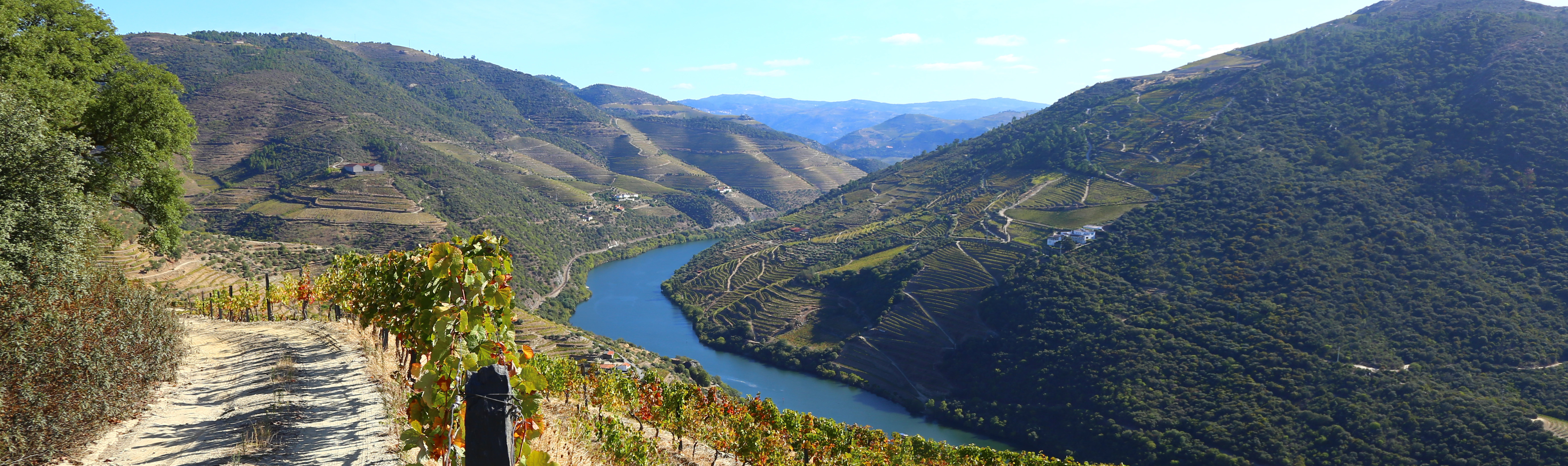 Steep sided valleys with vines with blue water of river Douro
