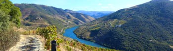 Steep sided valleys with vines with blue water of river Douro