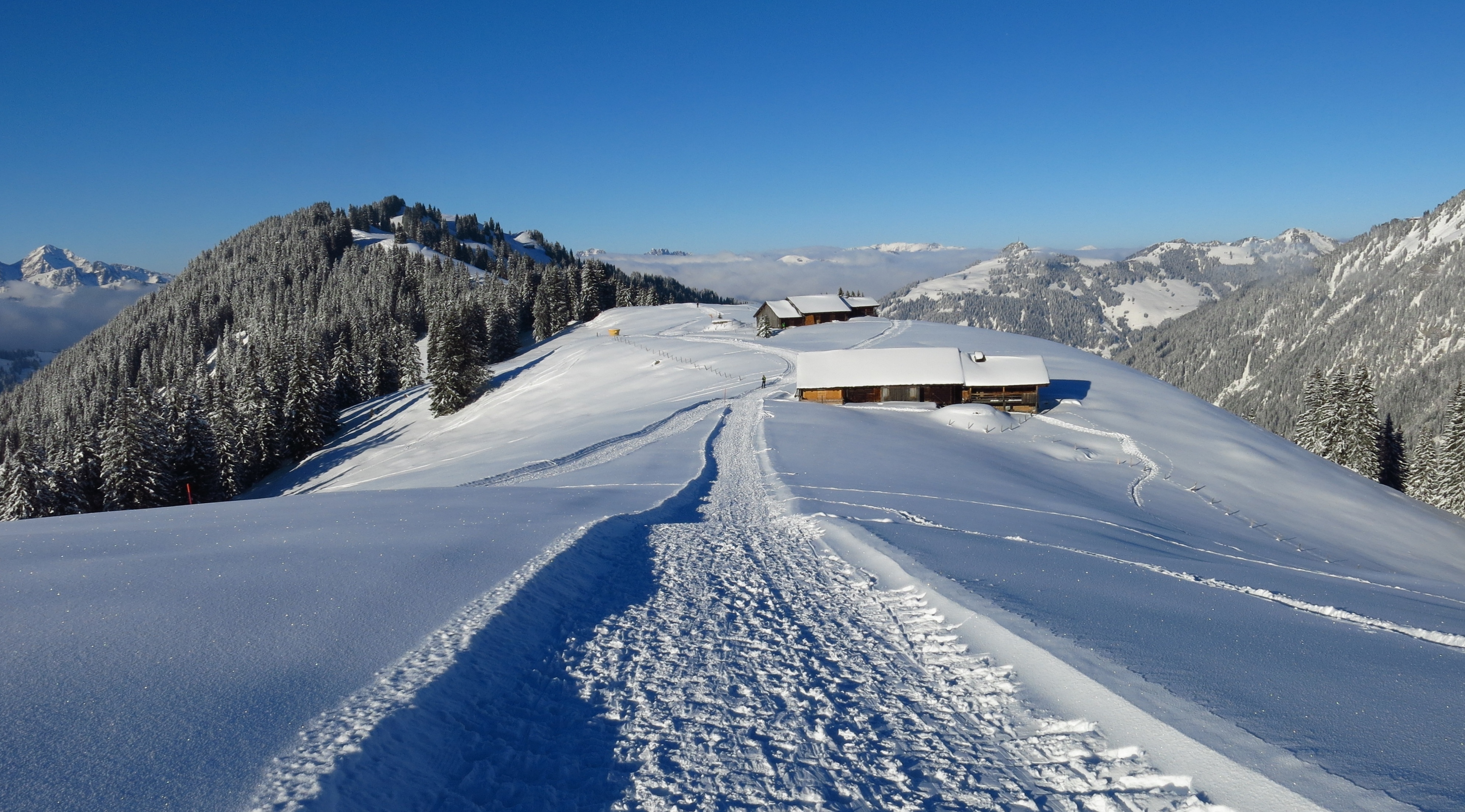 Snow field and track with mountain hut and trees Wispile Gstaad