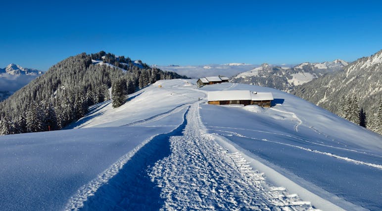 Snow field and track with mountain hut and trees Wispile Gstaad