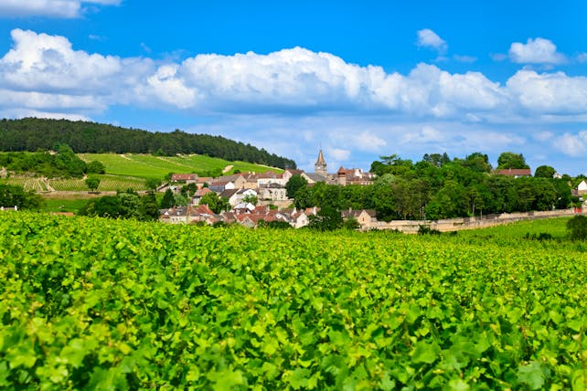 burgundy village of volnay with green vineyard