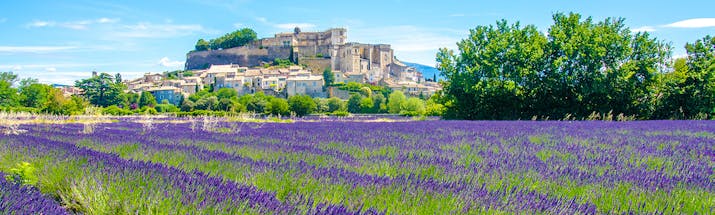 Lavender beds and town in distance