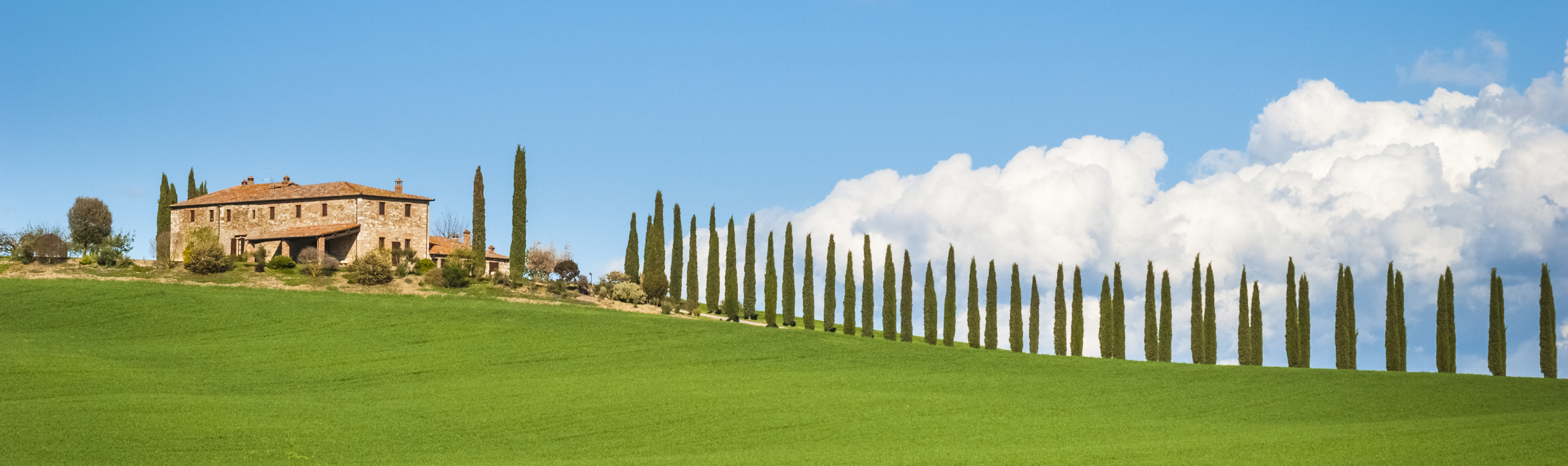 Green rolling hills and cypress trees of Tuscany