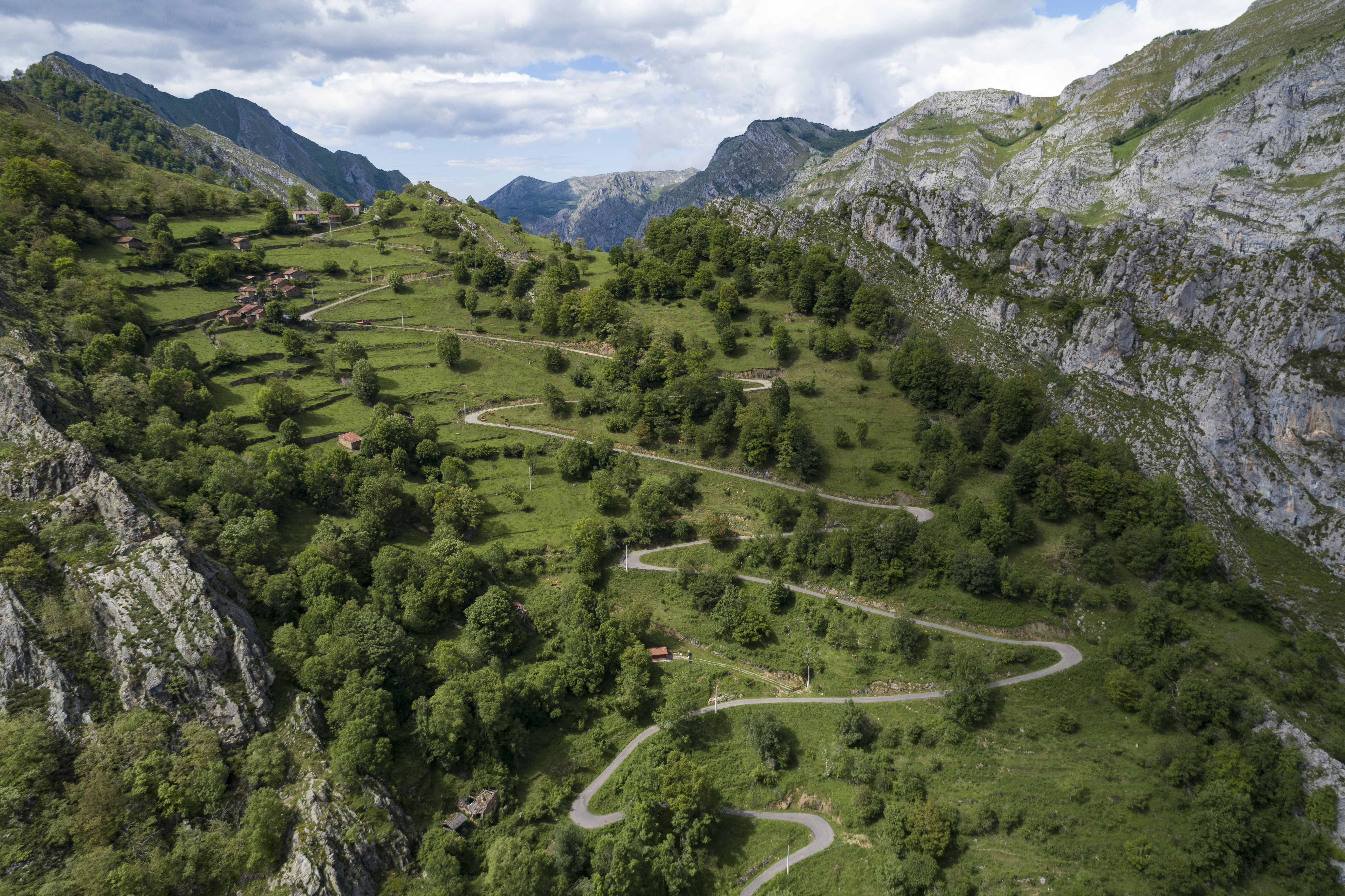 Zig zag mountain road through fields and trees with grey cliffs either side in Asturias